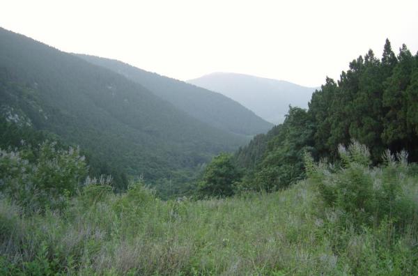 鲁山有多少人口_鲁山有机场吗