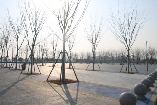 济宁市微山县马坡镇：人大代表“跑现场” 喜看家乡新变化