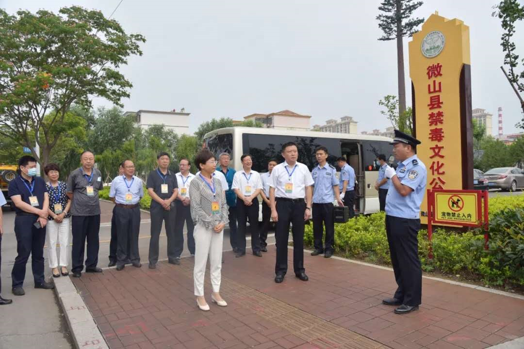 微山县人民政府 重要活动与文论 我局深入开展"6.26"