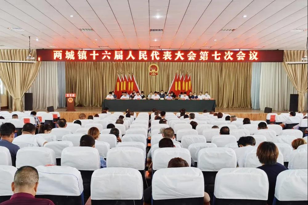 微山县人民政府 乡镇会议 两城镇召开第十六届人民代表大会第七次会议