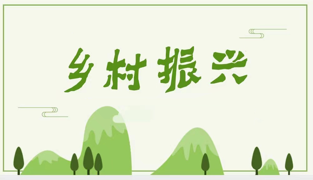 乡村振兴政策文件与解读