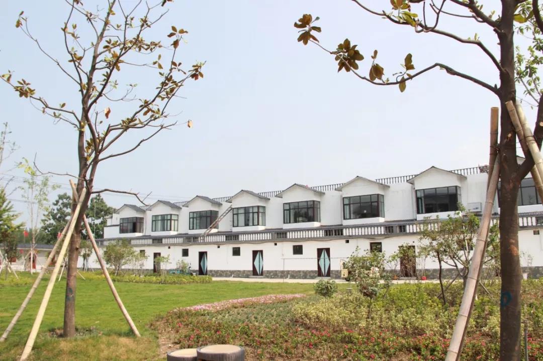 微山县人民政府 工作动态 观摩学习找差距,美丽乡村再