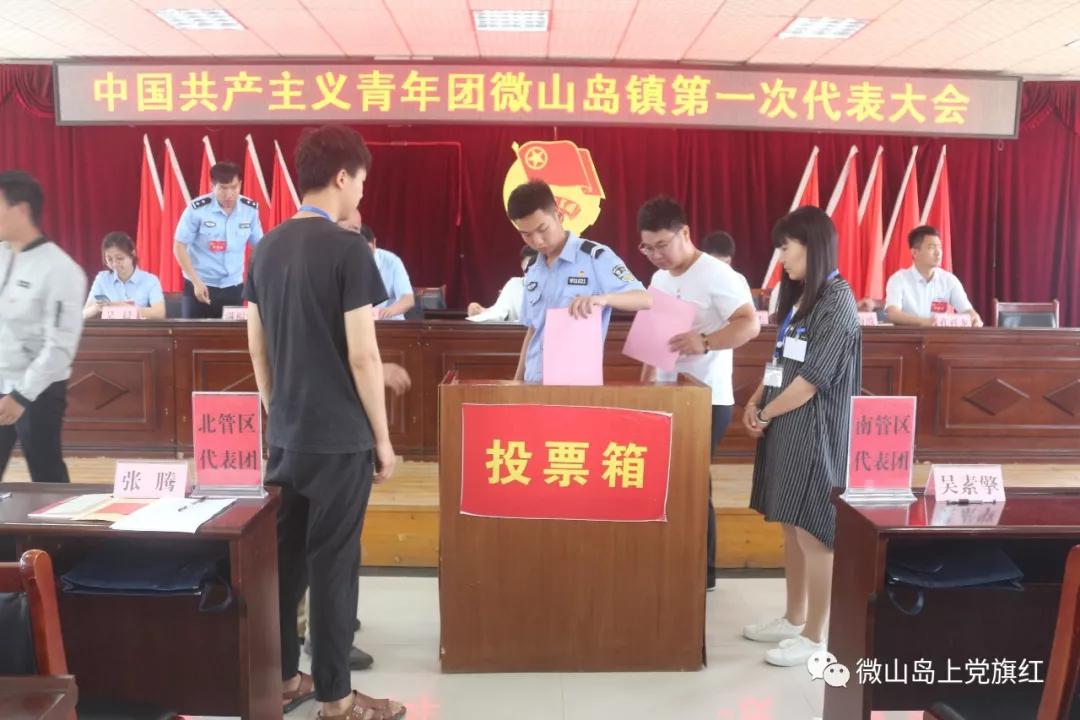 微山县人民政府 工作动态 共青团微山岛镇第一次代表