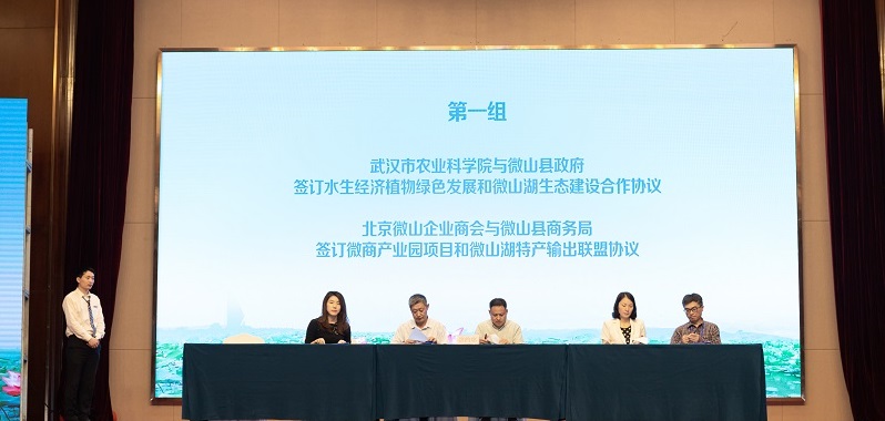 微山县招聘_幼教 微山县璎轩实验学校招聘信息
