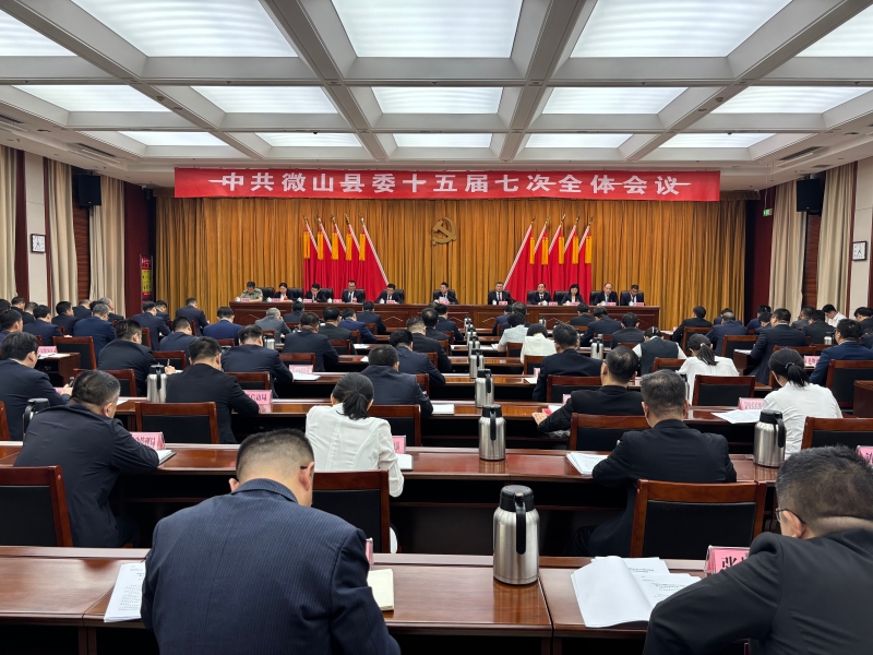 中共微山县委十五届七次全体会议举行 县委常委会主持会议 李勇讲话
